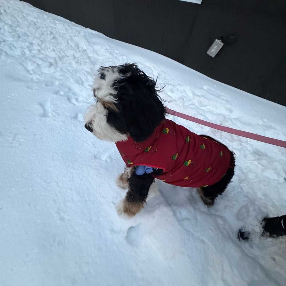 Little Beasts Snoopy and Woodstock double sided winter coat